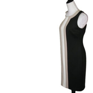 Dana Buchman Vertical Stripe Sleeveless Sheath Dress Black/Tan/White Size 6